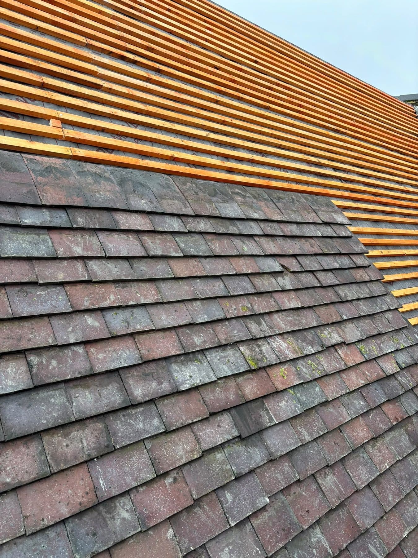 Plain clay tiles laid on a pitched roof, with new battens above them ready for the next courses